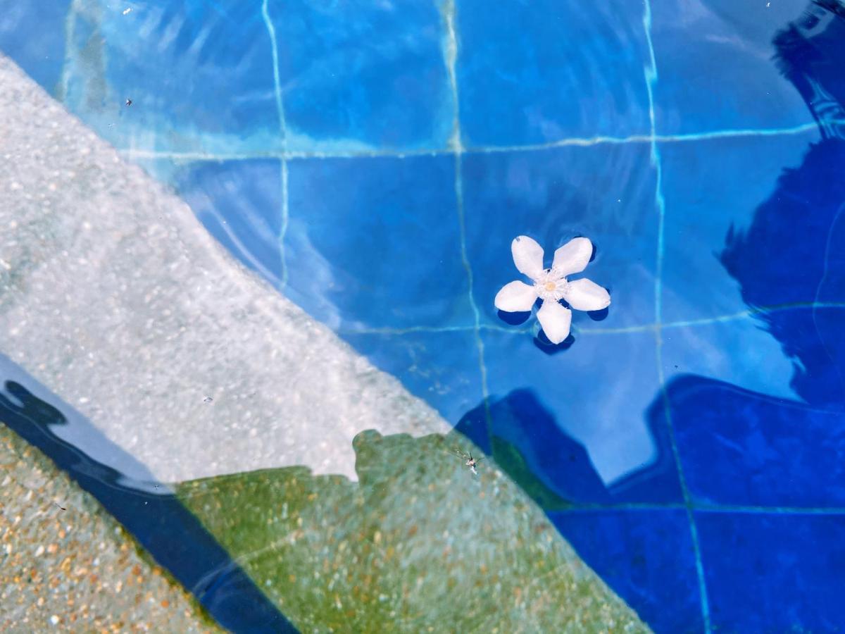 Molly Resorts Puerto Galera Dış mekan fotoğraf